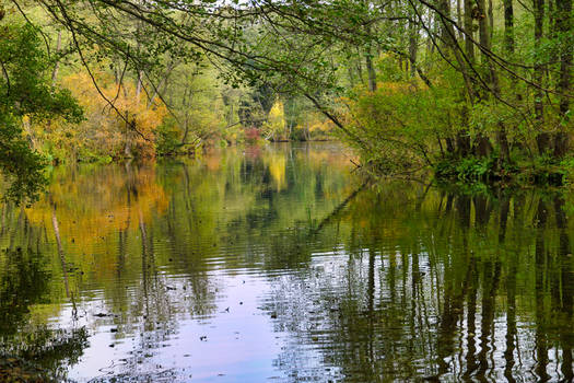 Blue Springs Nature Reserve II