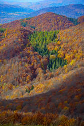 Bieszczady Mountains, Autumn 2023