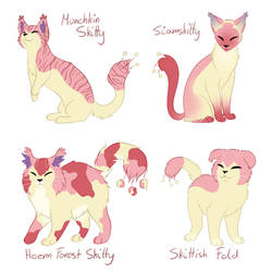 Skitty variations