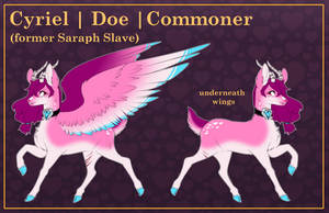 Cyriel | Doe | Commoner