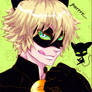 Chat Noir   portrait