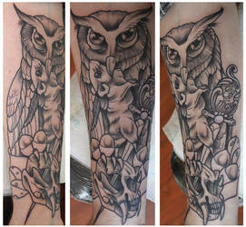 owl sleeve