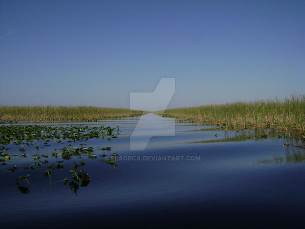 Everglades