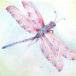 watercolor drafonfly