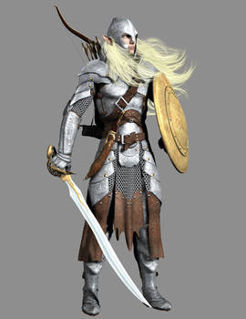 Elf Paladin Study (WIP)