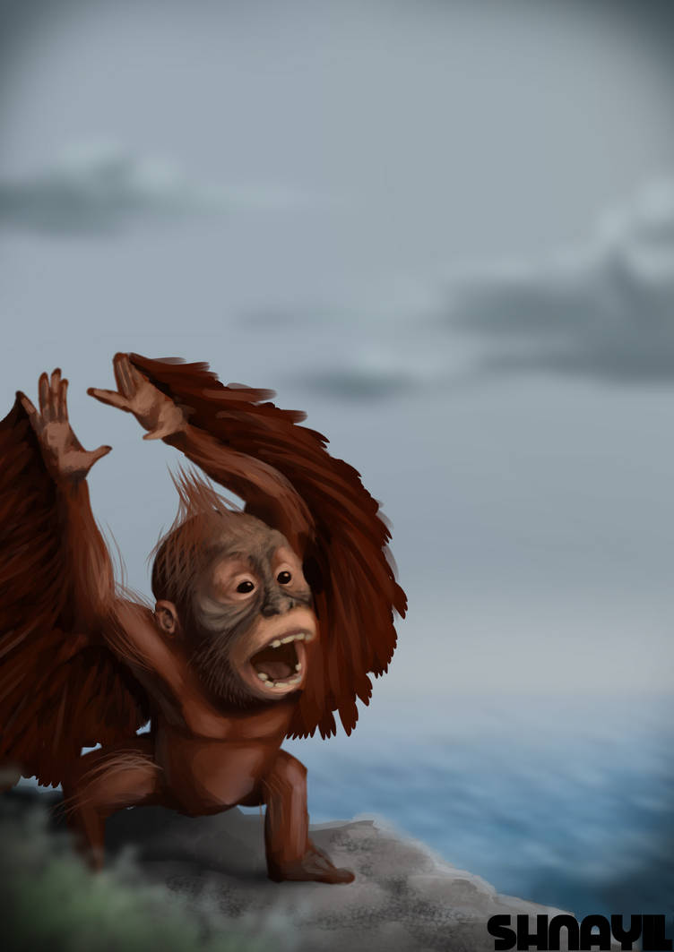 Monkey Form Deviantart Monkey by shnayiI on DeviantArt