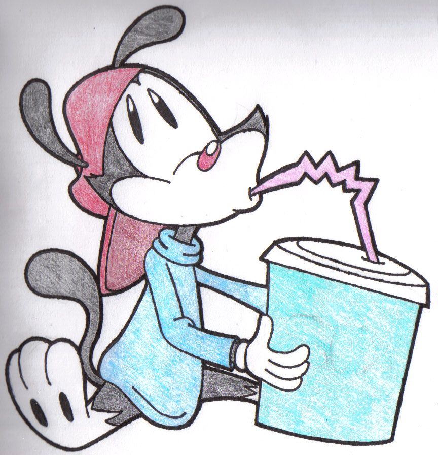 Wakko Drinks Soda