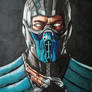 Sub zero (mortal kombat x)