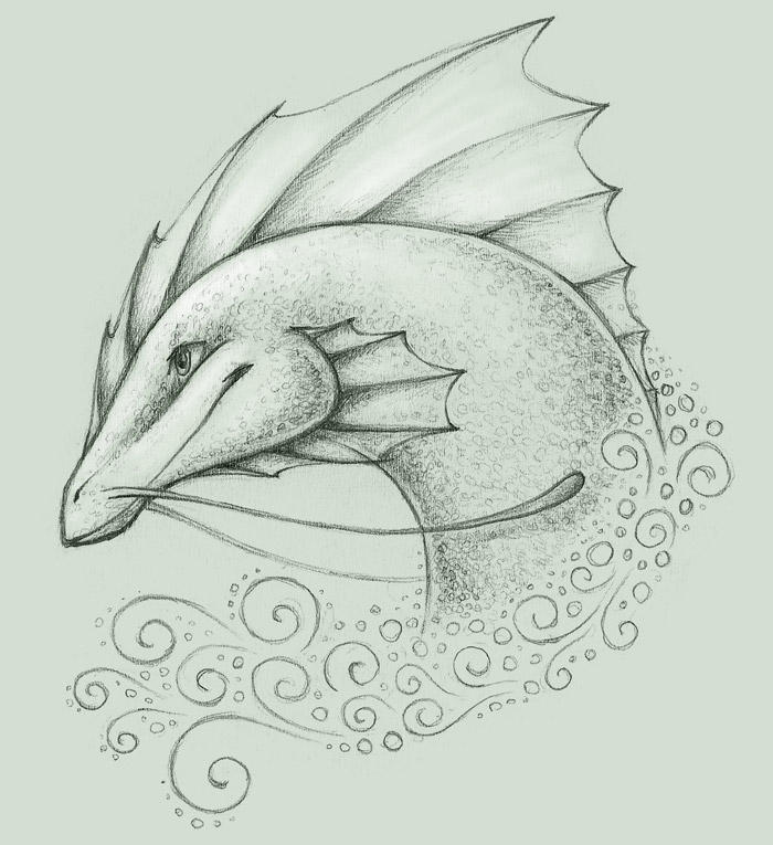 Sea Dragon Sketch by Amaruuk on DeviantArt