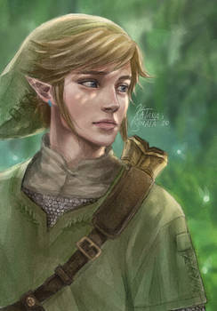 Link Portait