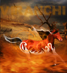 Viranchi :: GIFT