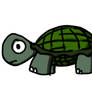 Plain Turtle