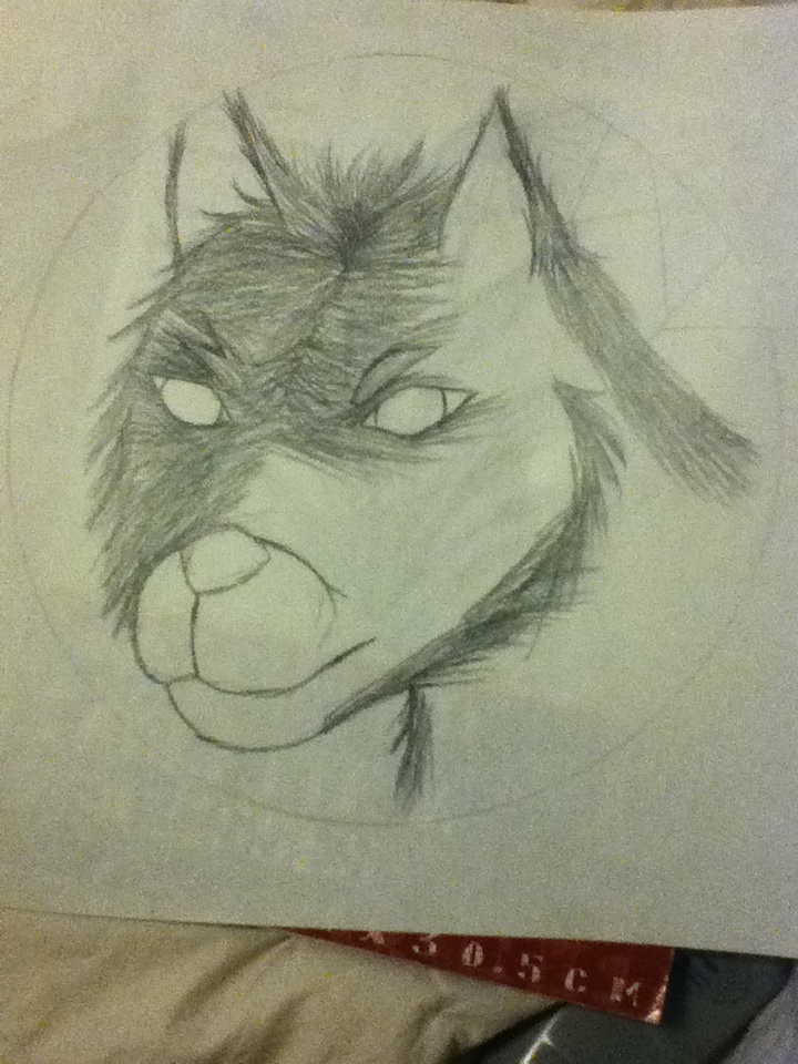 Wolf Wip