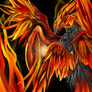 the four winged phoenix