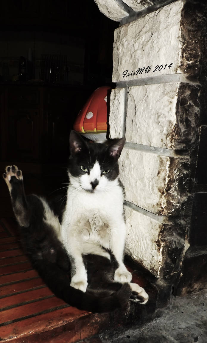 Rufas by MalhadinhaB on DeviantArt