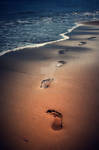 Follow me.. by Malleni