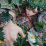 MtG: Shaman of Spring