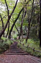 Entering Inokashira Park
