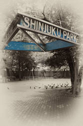 Plate - Shinjuku Park