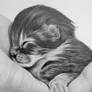 Kitten in graphite