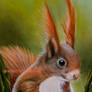 Drawing Squirrel with pastel