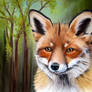 Pastel Drawing Fox in autumn