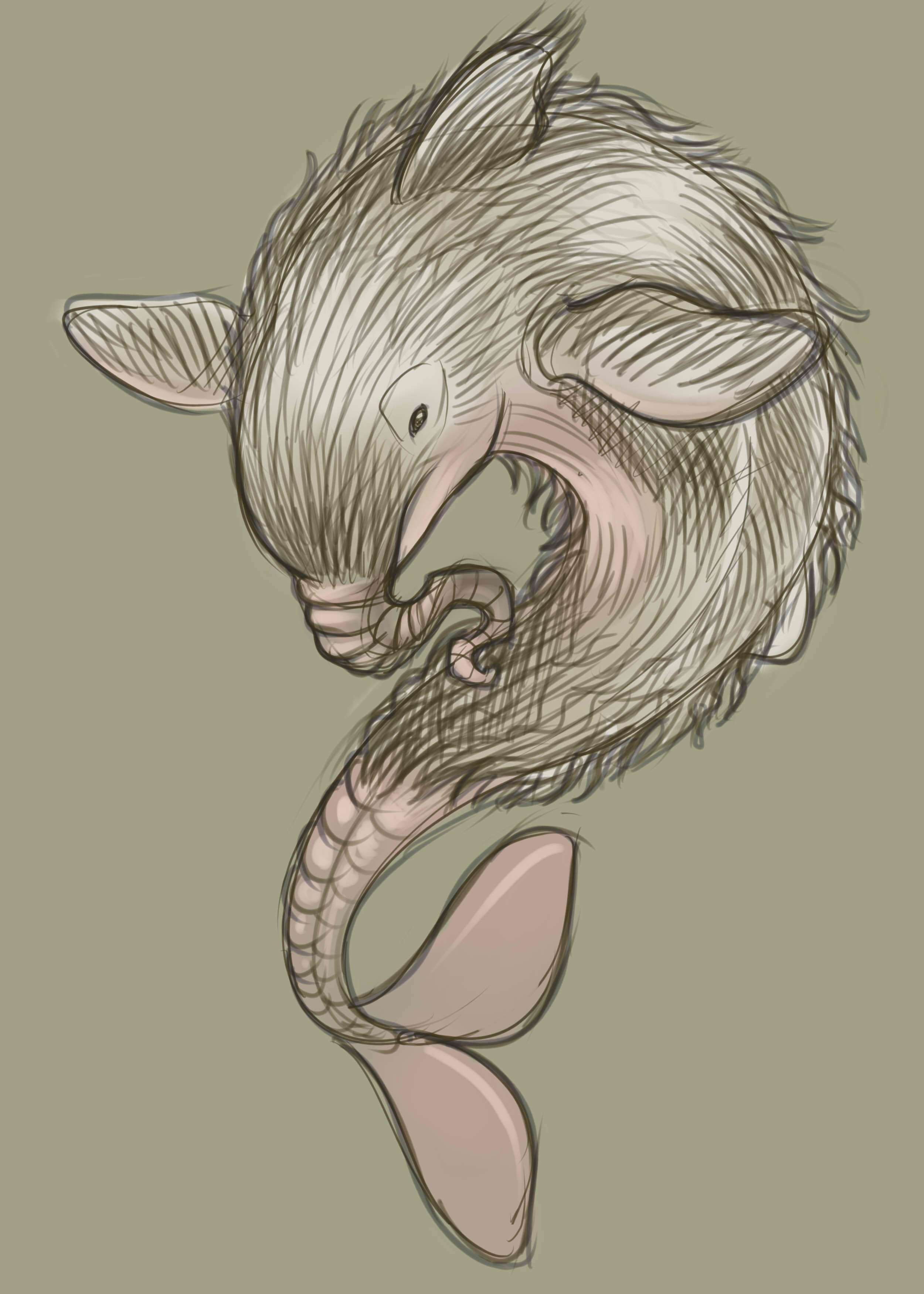 Trunko by Noupie on DeviantArt