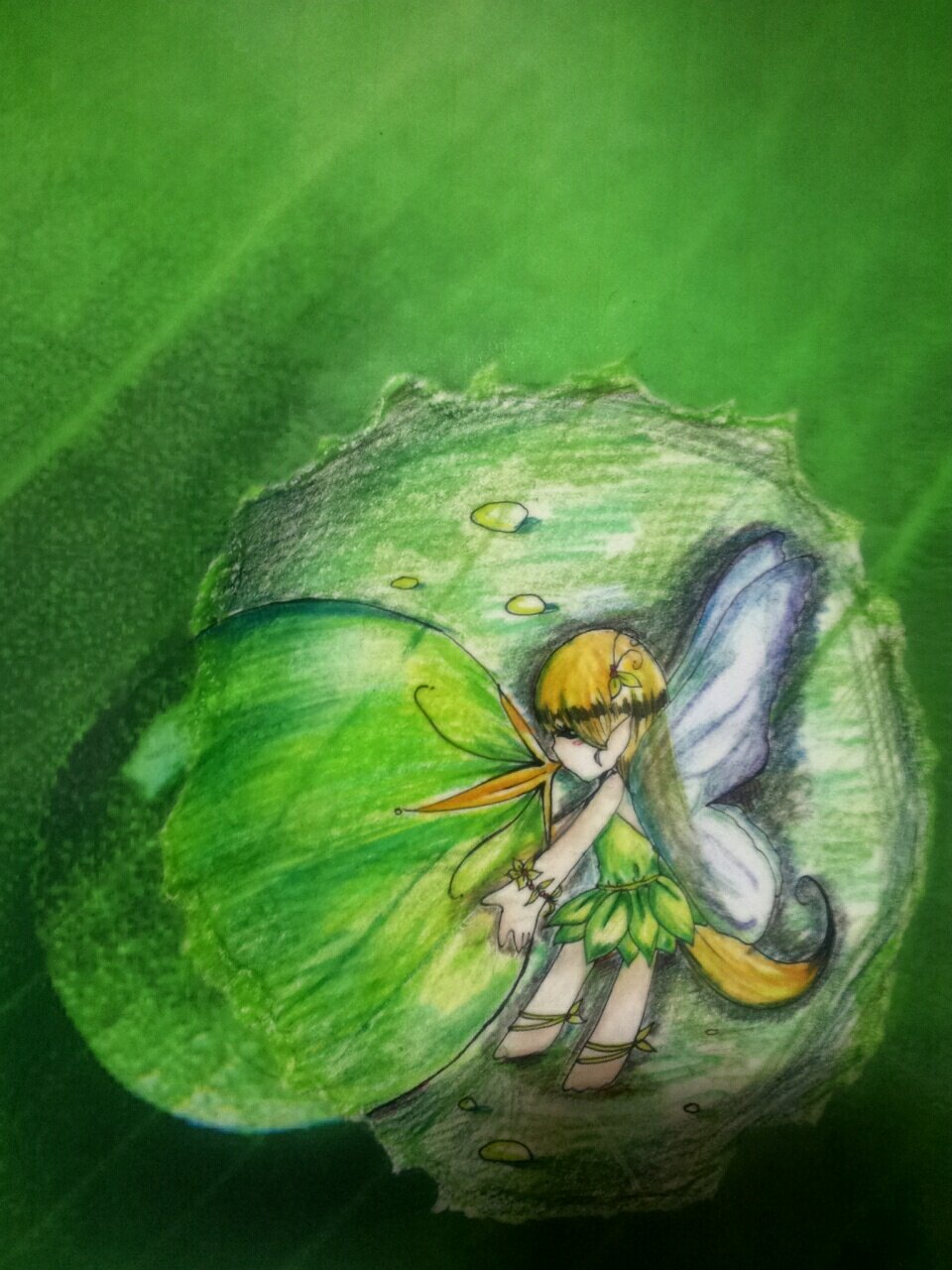 Fairy