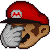 Mario Why