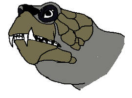 Sea Turtle With Dog Teeth