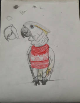 Decembird day 27