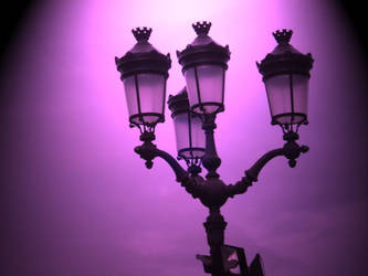 Purple lights