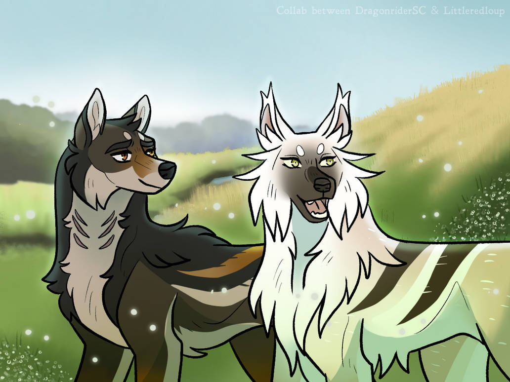 Dw Wraith DOTW {Wraith} How Far You've Come by DragonriderSC on DeviantArt