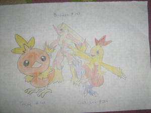 Torchic,Combusken and Blaziken