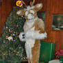 Beau The Caribou (or Reindeer)