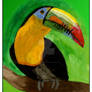 Toucan Portrait