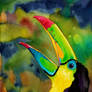 Transcendental Toucan