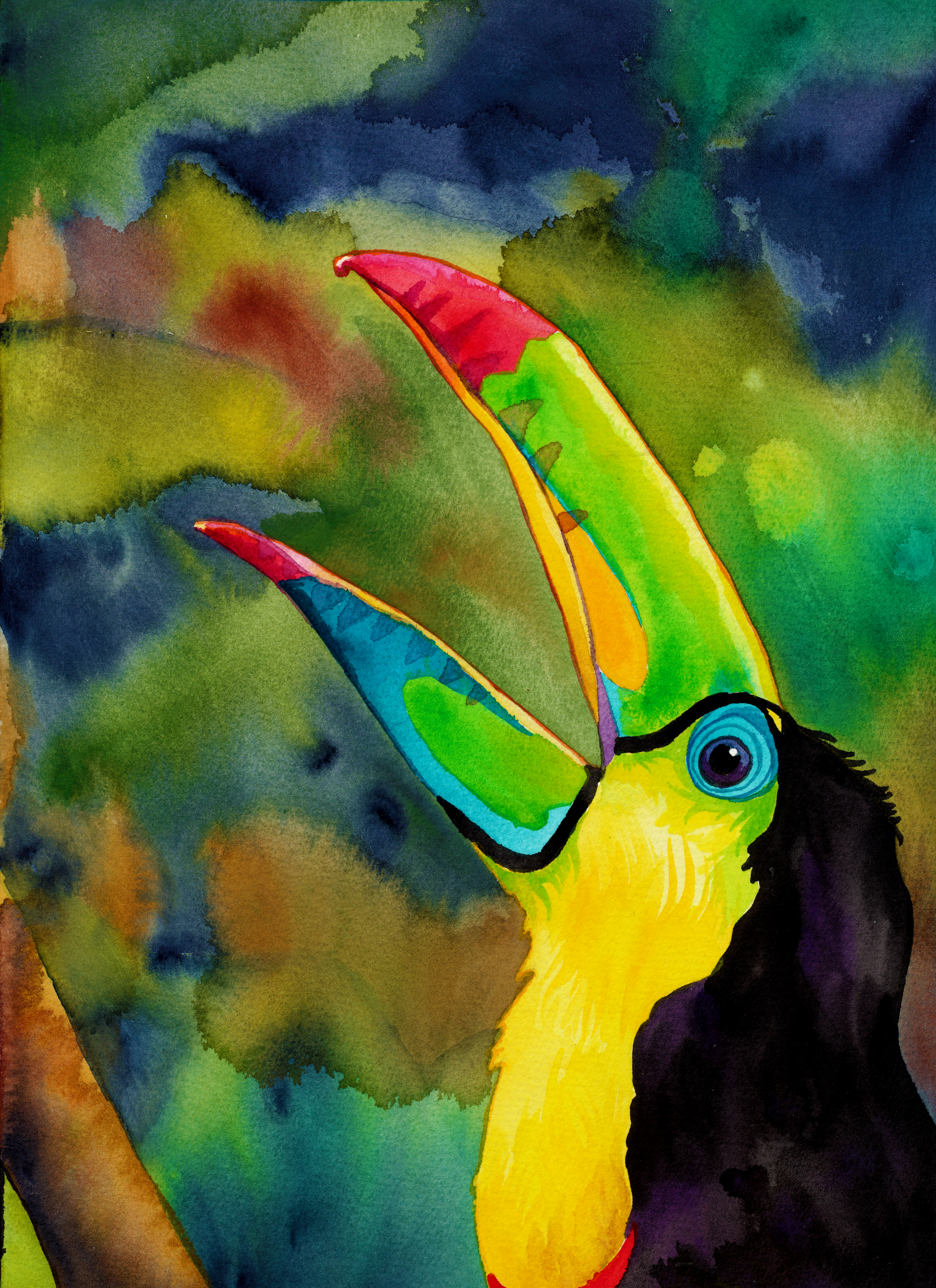 Transcendental Toucan