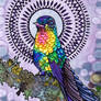 Holistic Hummingbird