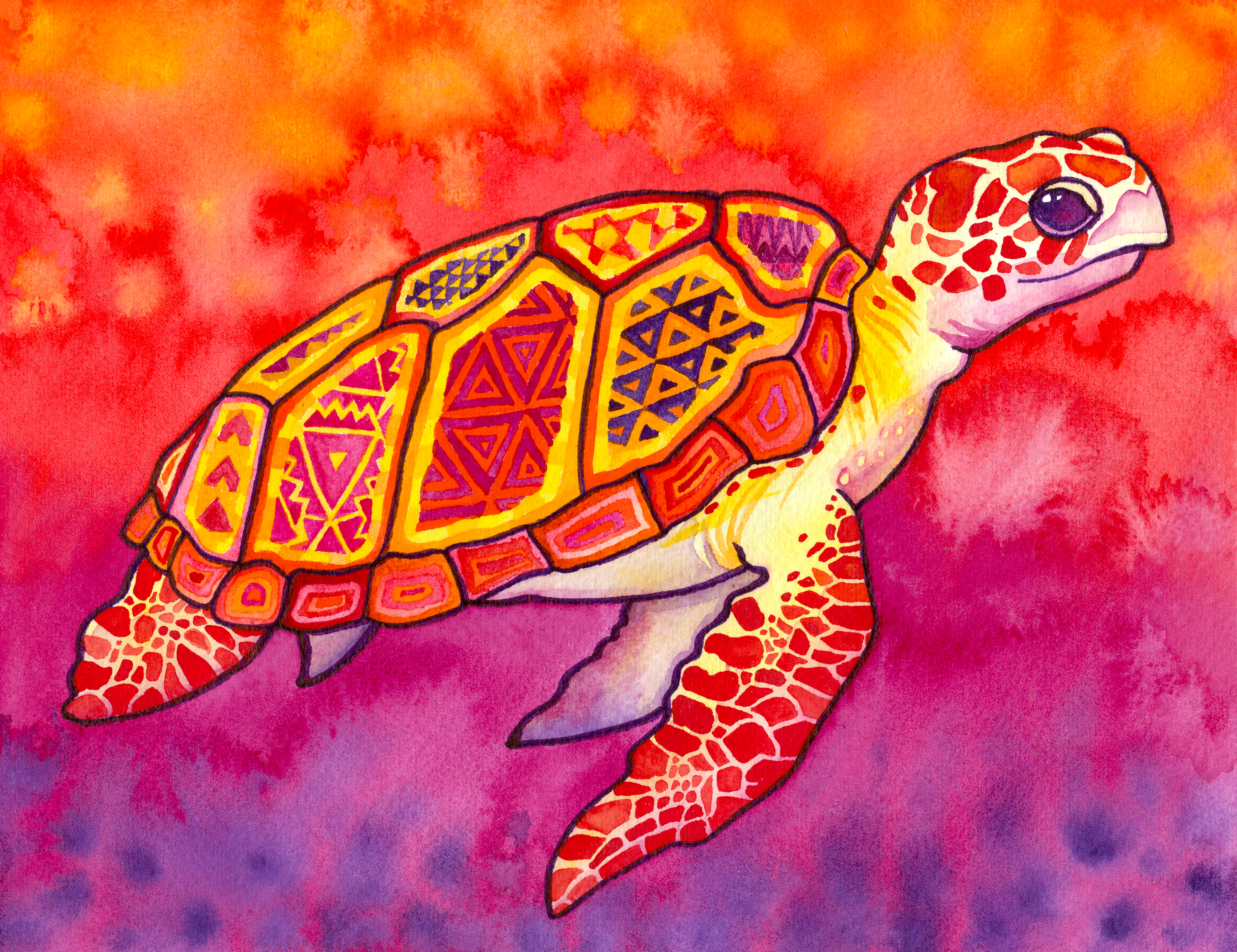 Seaturtle Spirit