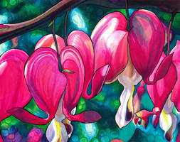 Bleeding Hearts