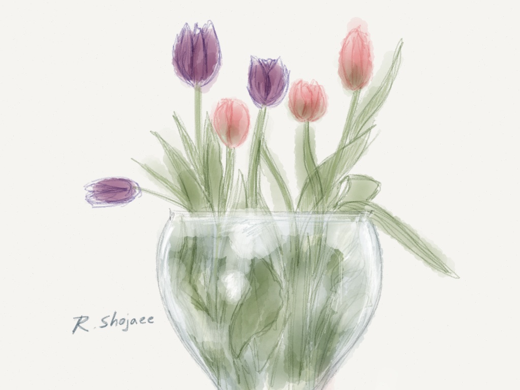 Tulips