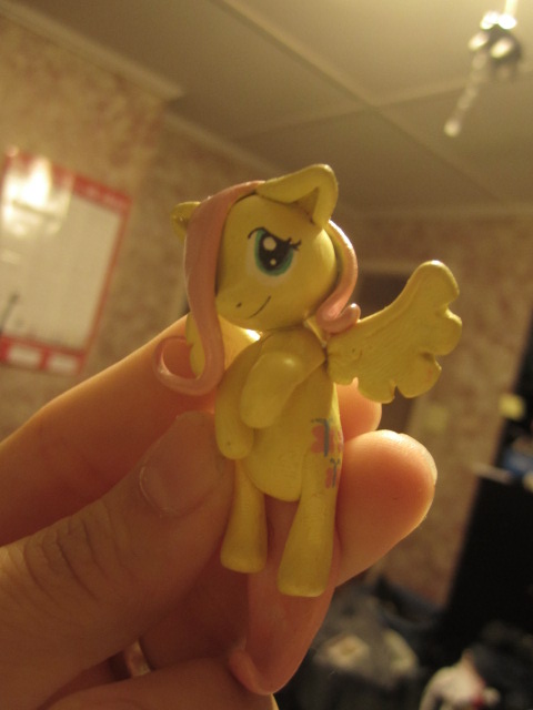 Fluttershy Charm