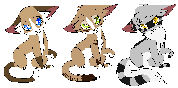 Cute Kitty Adopts ( CLOSED)