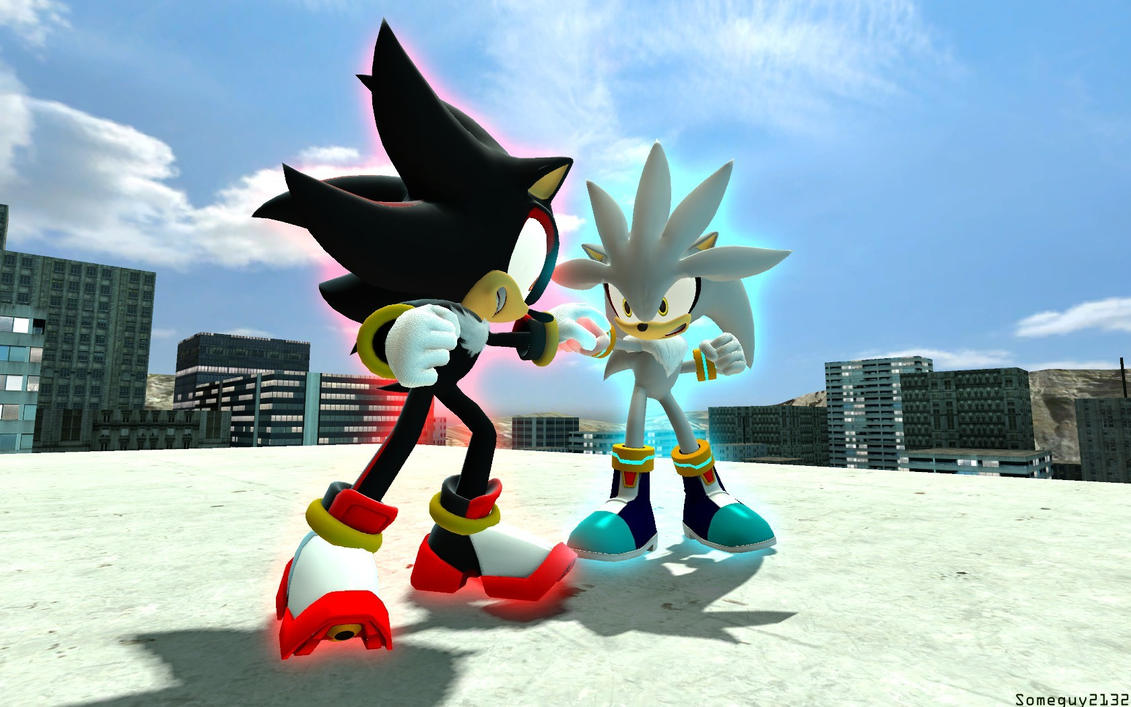 Silver Vs Shadow Shadow Vs Silver By Someguy2132 On Deviantart.