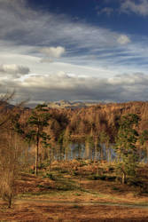 Tarn Hows and  Langdale Pikes