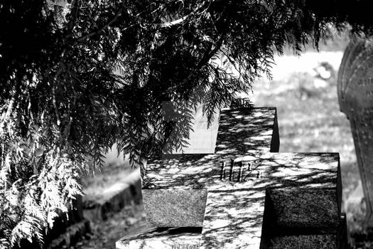 Cross in the Shade Black and White