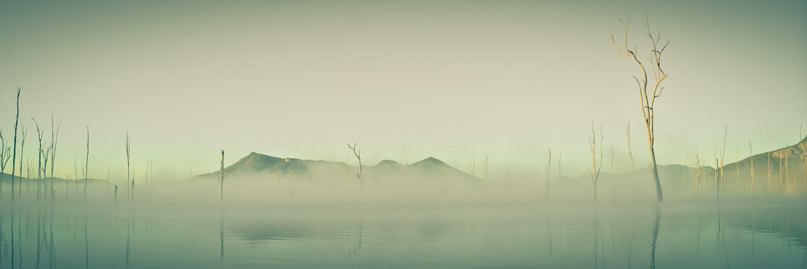 Vintage Lake