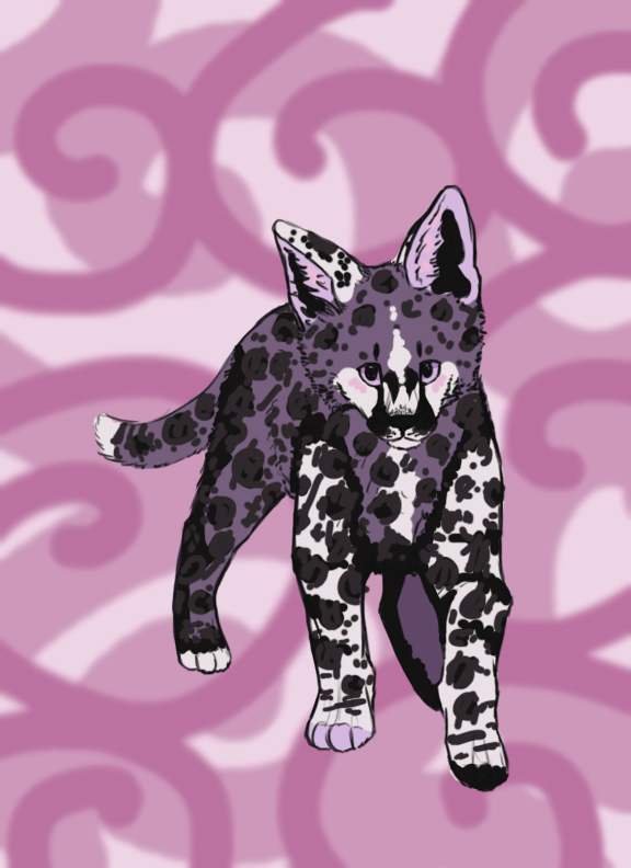 Fancy Dancy Serval Kitten~