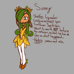 Sunny (Sonic OC)